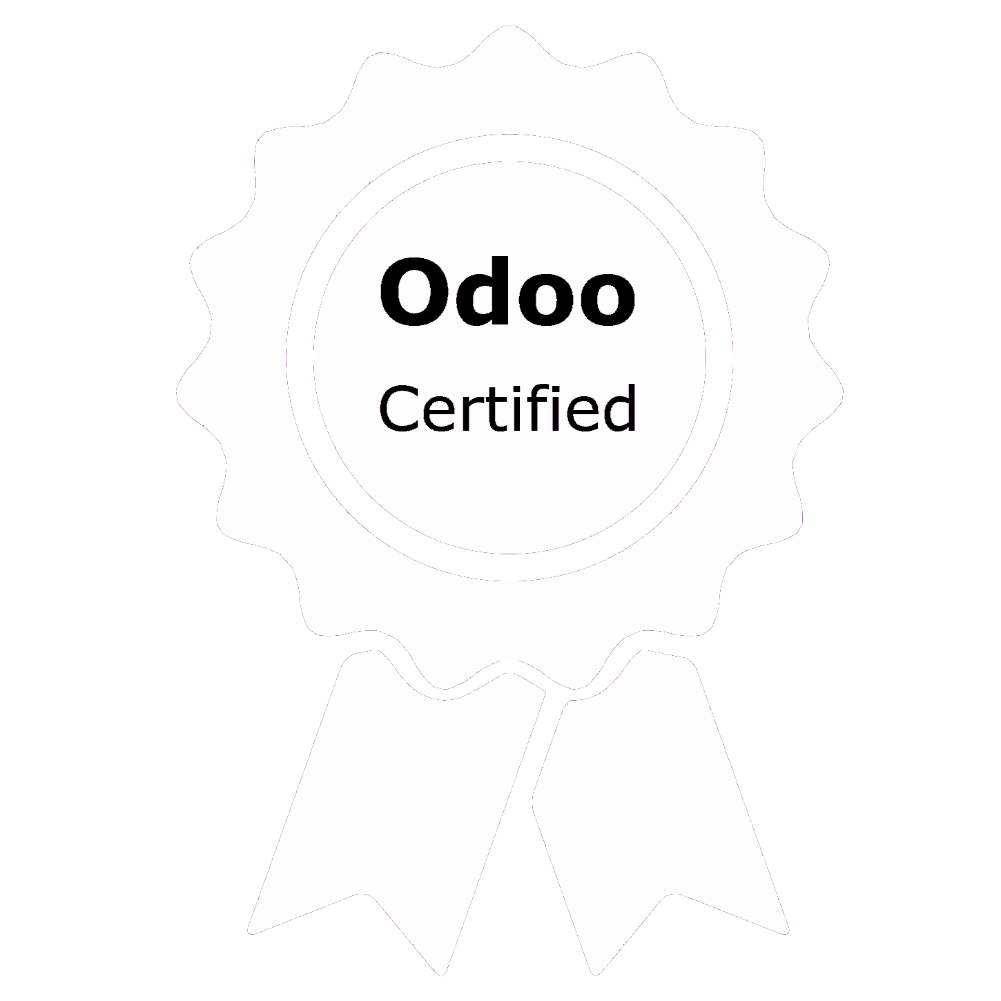 Odoo Partner